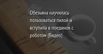 Обезьяна научилась пользоваться пилой и вступила в поединок с роботом (Видео)