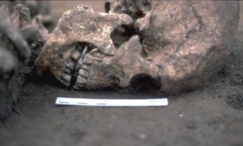 В Британии обнаружили скелет мужчины с камнем на месте языка