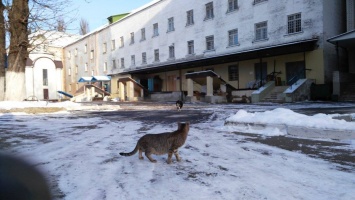 В Минюсте рассказали, когда переселят заключенных из Киевского и Львовского СИЗО