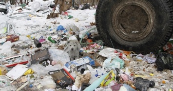 Мэру Львова приказали убрать весь накопившийся мусор из города