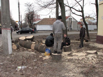 Советник Сенкевича: Патрульным следует отличать официальных подрядчиков от «деревянных пиратов»