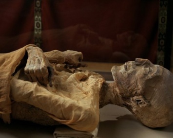 Ученые сделали томографию мумиям из Эрмитажа