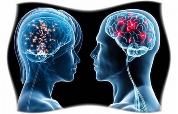 Специалисты: У некоторых мужчин есть "женская" часть мозга?