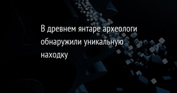 В древнем янтаре археологи обнаружили уникальную находку