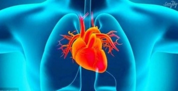 5 симптомов заболевания сердца: пройдите осмотр!