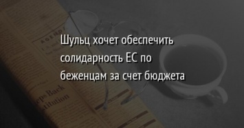 Шульц хочет обеспечить солидарность ЕС по беженцам за счет бюджета