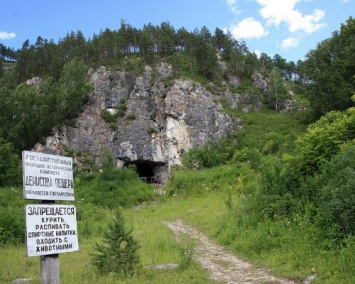 В Денисовой пещере на Алтае обнаружены останки древней лошади