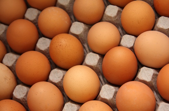 В Крым не пустили партию опасных куриных яиц из Украины