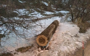 На Трассе здоровья ломают фонари