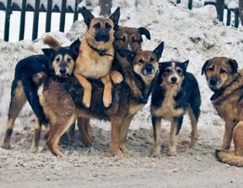 В херсонском Гидропарке - скандал