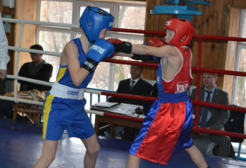 Запорожские боксеры открыли календарь соревнований