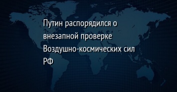 Путин распорядился о внезапной проверке Воздушно-космических сил РФ