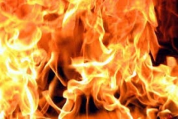 В Павлограде случились три «сезонных» пожара