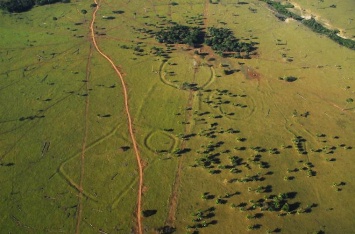 В лесах Амазонки найдены сотни «двойников» Стоунхенджа?