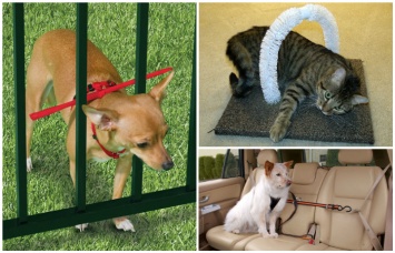 15 гениальных лайфхаков для владельцев кошек и собак, которые облегчат уход за питомцами