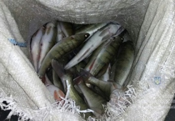 В Днепре полиция задержала рыбаков-браконьеров