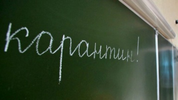 Школьники Запорожской области вновь отправятся на карантин