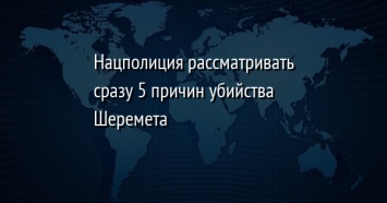 Нацполиция рассматривать сразу 5 причин убийства Шеремета