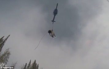 Чудесное спасение: в Айдахо вертолетом эвакуировали лошадь, которая провела в снежном плену не менее 5 дней