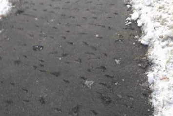 Полтавские коммунальщики снесли асфальт вместо льда