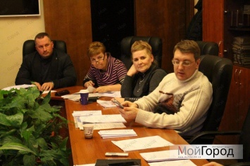 " За что заплатили?" - в Николаевском горсовете проведут расследование закупки елки управлением культуры