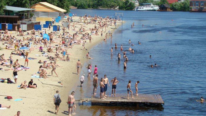 В столице назревает эпидемия лептоспироза