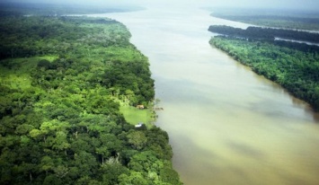 В джунглях Амазонки найден ключ к древней цивилизации