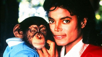 Об обезьяне Майкла Джексона снимут мультфильм