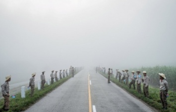 Опубликованы лучшие фотографии по версии World Press Photo 2017