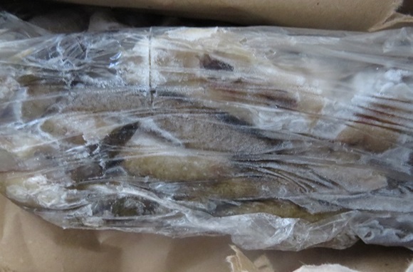 В Крым пытались завезти тонны недоброкачественной рыбы (ФОТО)