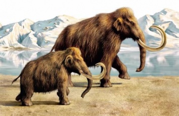 Ученые смогут " оживить" мамонтов через несколько лет