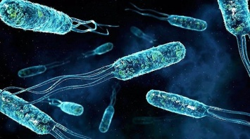 Внеземные бактерии, могут уничтожить человечество, мнение ученых