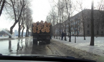 В Каменском поймали «левого дровосека»