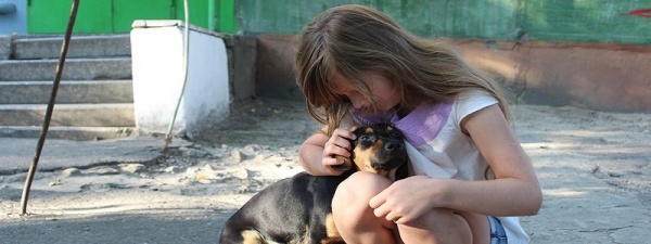 КП "По обращению с бездомными животными": яблоко раздора для днепропетровских волонтеров