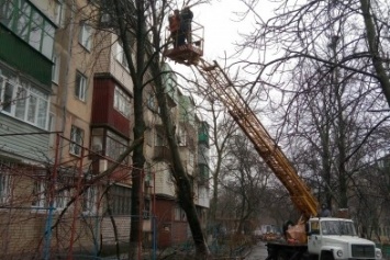 В Мариуполе спасли дом от дерева (ФОТО)