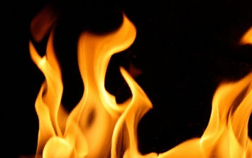 Пожарные спасли из горящего дома двух терновчан