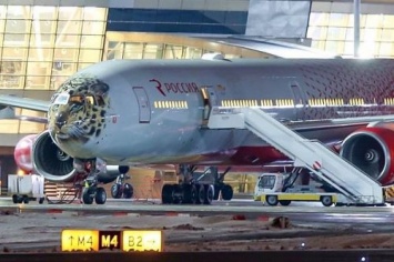 В России появился "самолет-леопард" (фото)