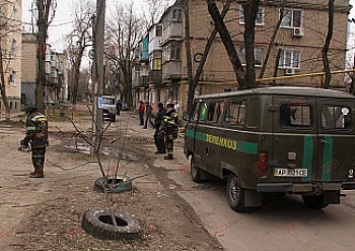 В Бердянске продолжается обрезка аварийных деревьев в школах и детских садиках