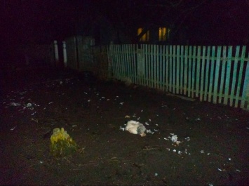 В Запорожской области на село напали волки (фото)