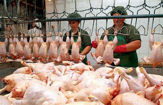 Украина вышла на восьмое место в мире по экспорту мяса
