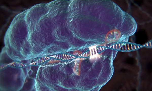 Почему бы биоэтике не «уйти с дороги» исследований CRISPR?