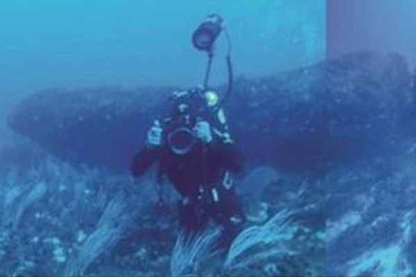 На дне Средиземного моря обнаружили «подводный Стоунхендж»