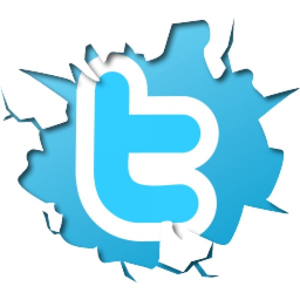 Twitter с начала года исполнил более 60% запросов Роскомнадзора