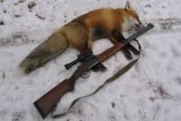 В Приазовье охотники регулировали численность вредных и хищных животных