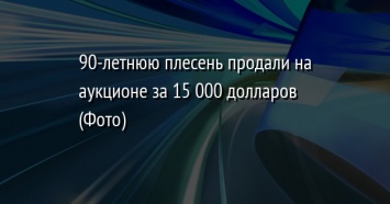 90-летнюю плесень продали на аукционе за 15 000 долларов (Фото)