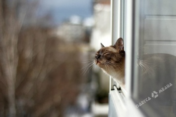 Сколько одесситы заплатят за тепло в марте и когда в городе отключат отопление