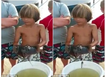 Наверно, наследственное: у маленького сына американского рыбака прямо на руках начал рожать скат-хвостокол