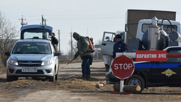 Из-за угрозы распространения АЧС в селе Белогорского района ввели карантин