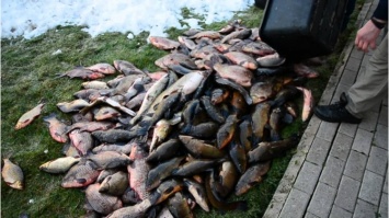Криворожские полицейские поймали "рыбных" браконьеров