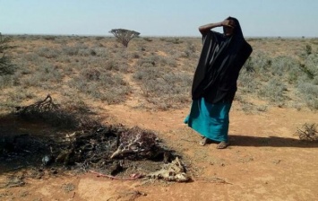 В Сомали за двое суток от голода умерли 110 человек